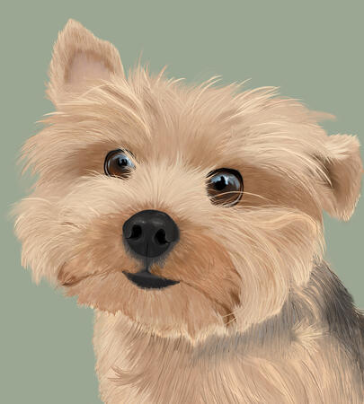 Painting Painting